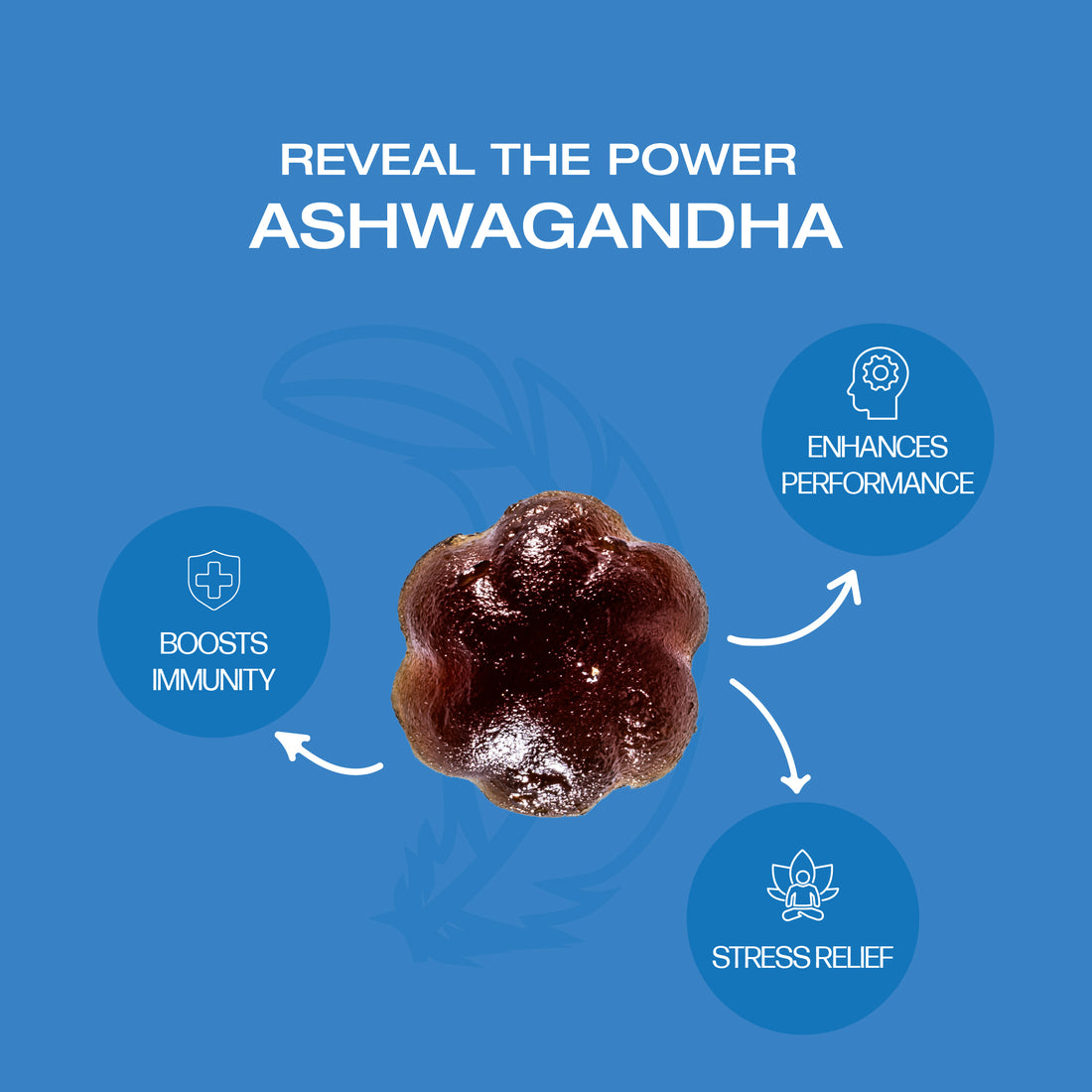 Ashwagandha Gummies